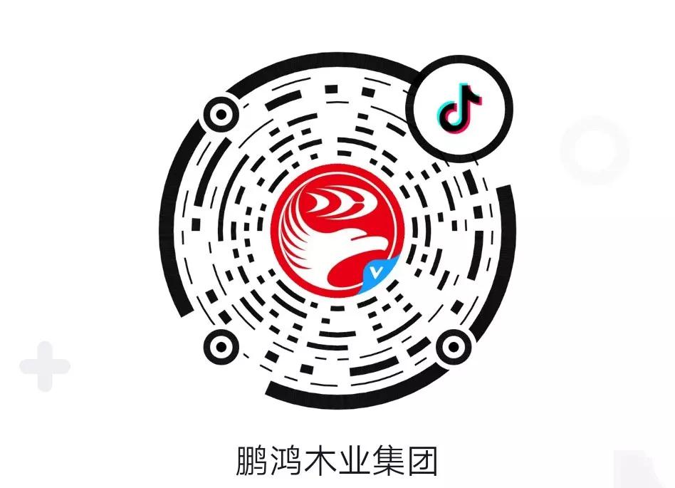 yl6809永利官方抖音二维码