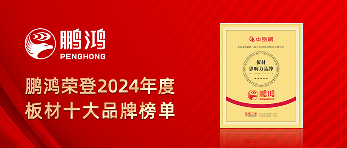 2024年度板材十大品牌榜单